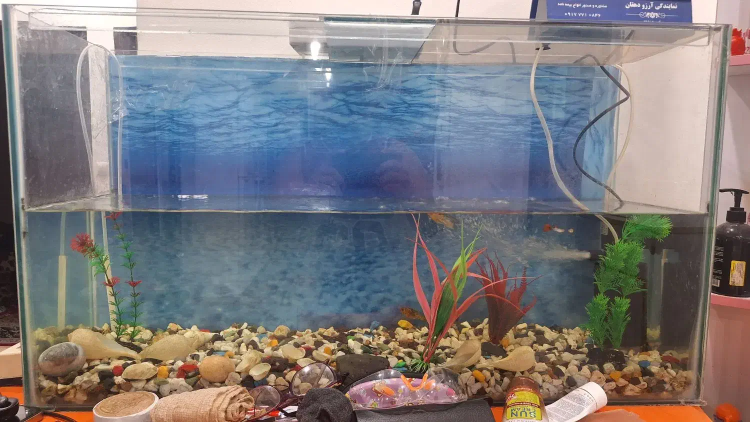 آکواریم بزرگ شیشه ای|ماهی|بوشهر, |دیوار