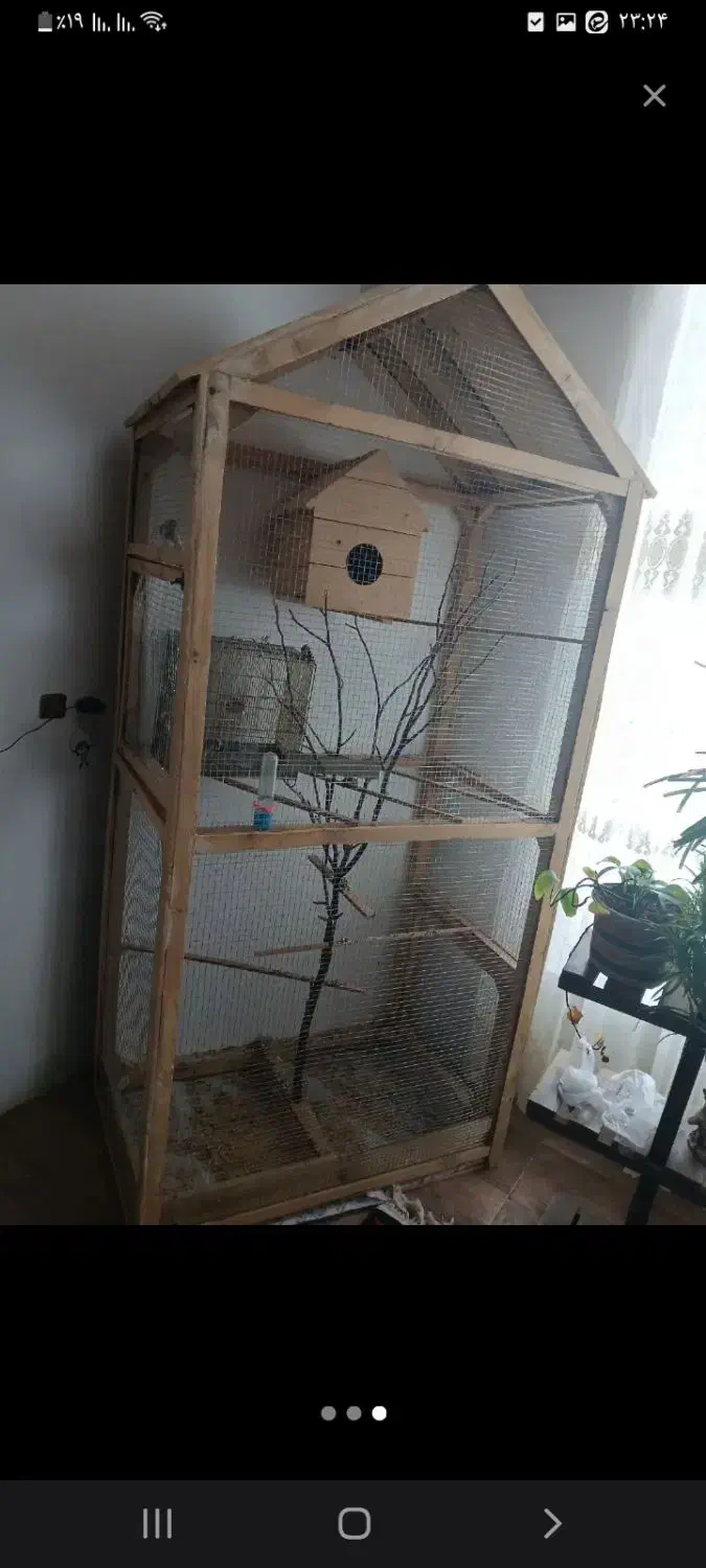 قفس چوبی بزرگ ارتفاع ۲،۲۰|لوازم جانبی حیوانات|رفسنجان, |دیوار