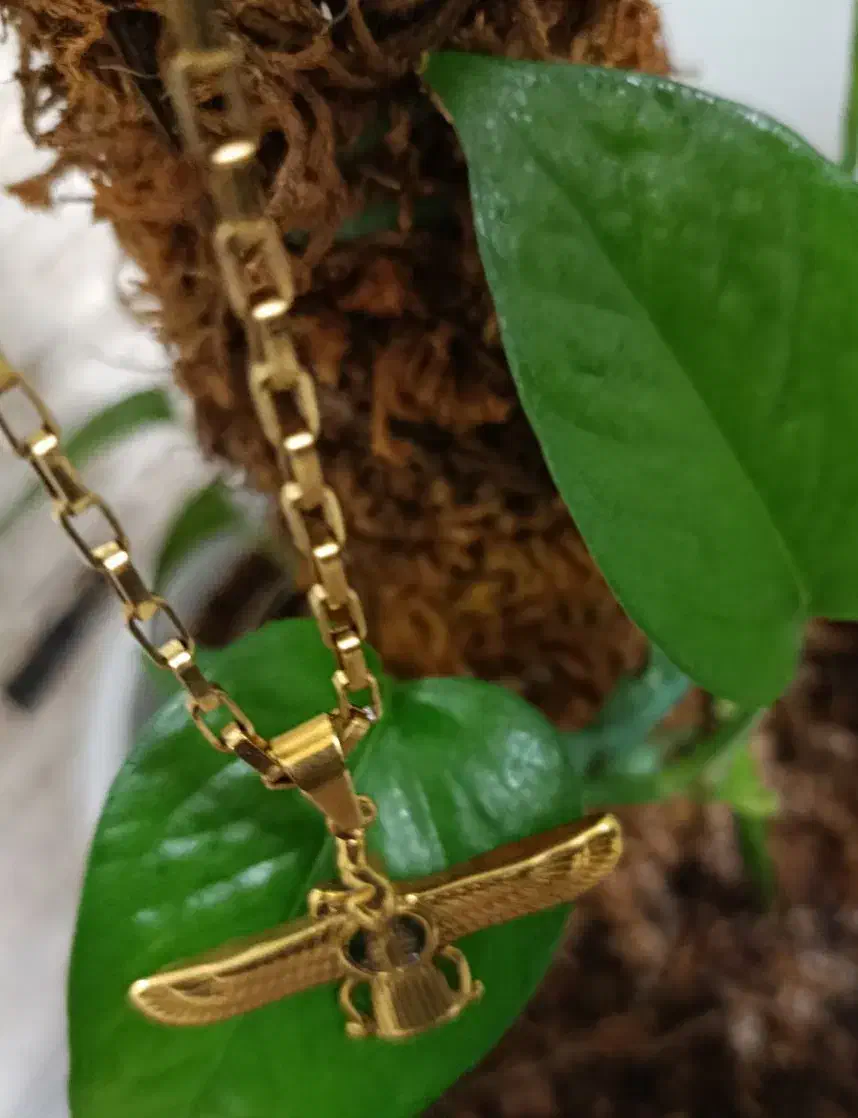 گردنی فروهر|بدلیجات|کاشان, عربها|دیوار