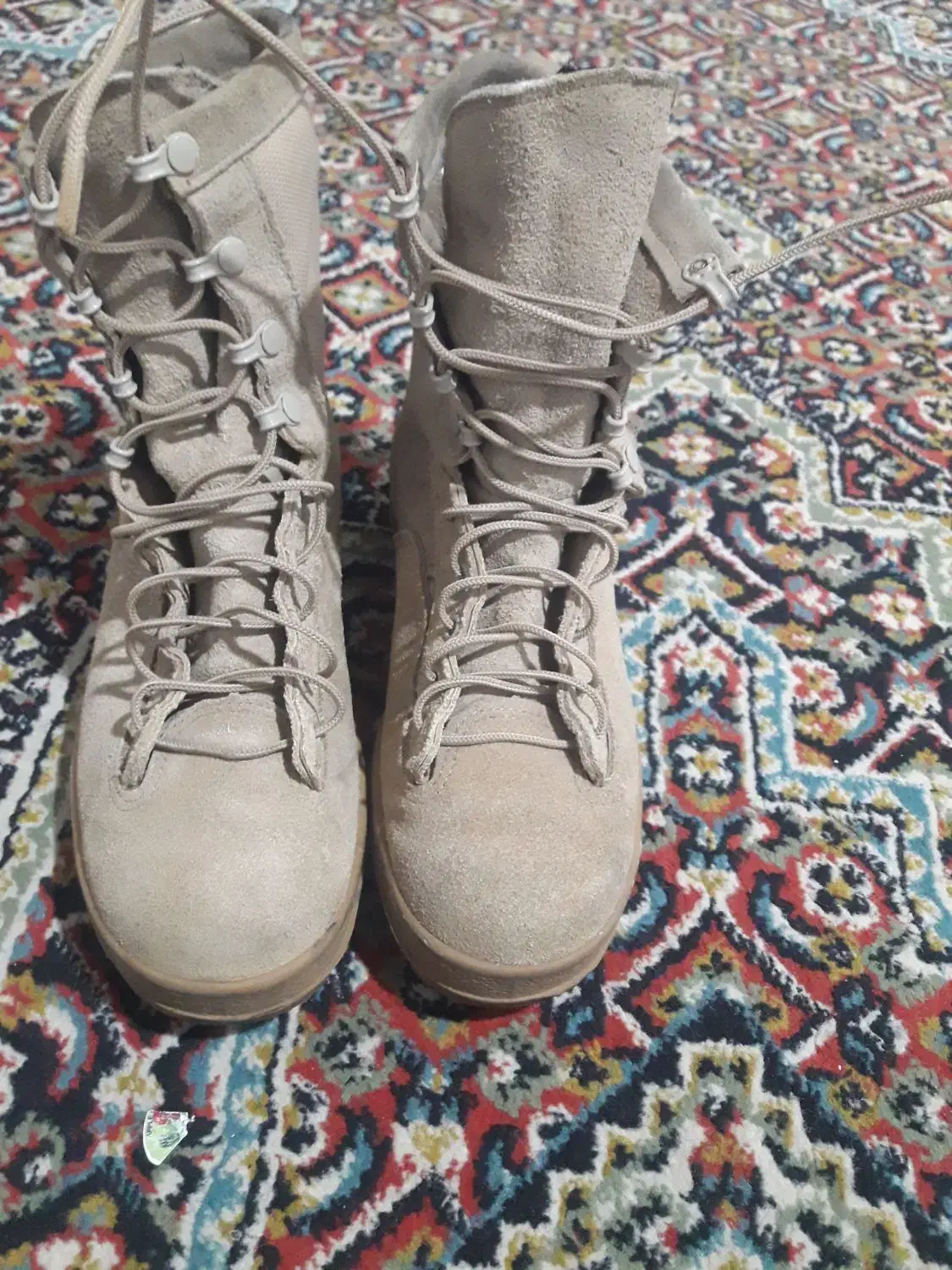 پوتین آمریکای|کوهنوردی و کمپینگ|خسروشاه, |دیوار