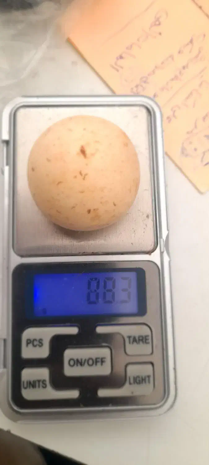 سنگ الماس آسیاب یا مروارید غار بروجردی|کلکسیون اشیاء عتیقه|بندر گناوه, |دیوار