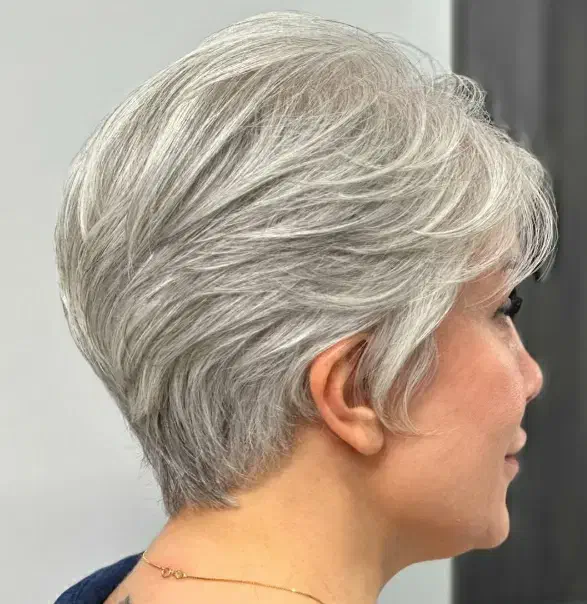 مدل رایگان کوتاهی و شنیون|خدمات آرایشگری و زیبایی|شیراز, حافظیه|دیوار