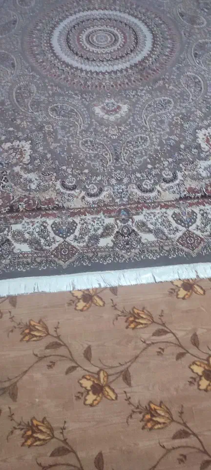 قالی ۱۲ متری|فرش|فاضل آباد, |دیوار