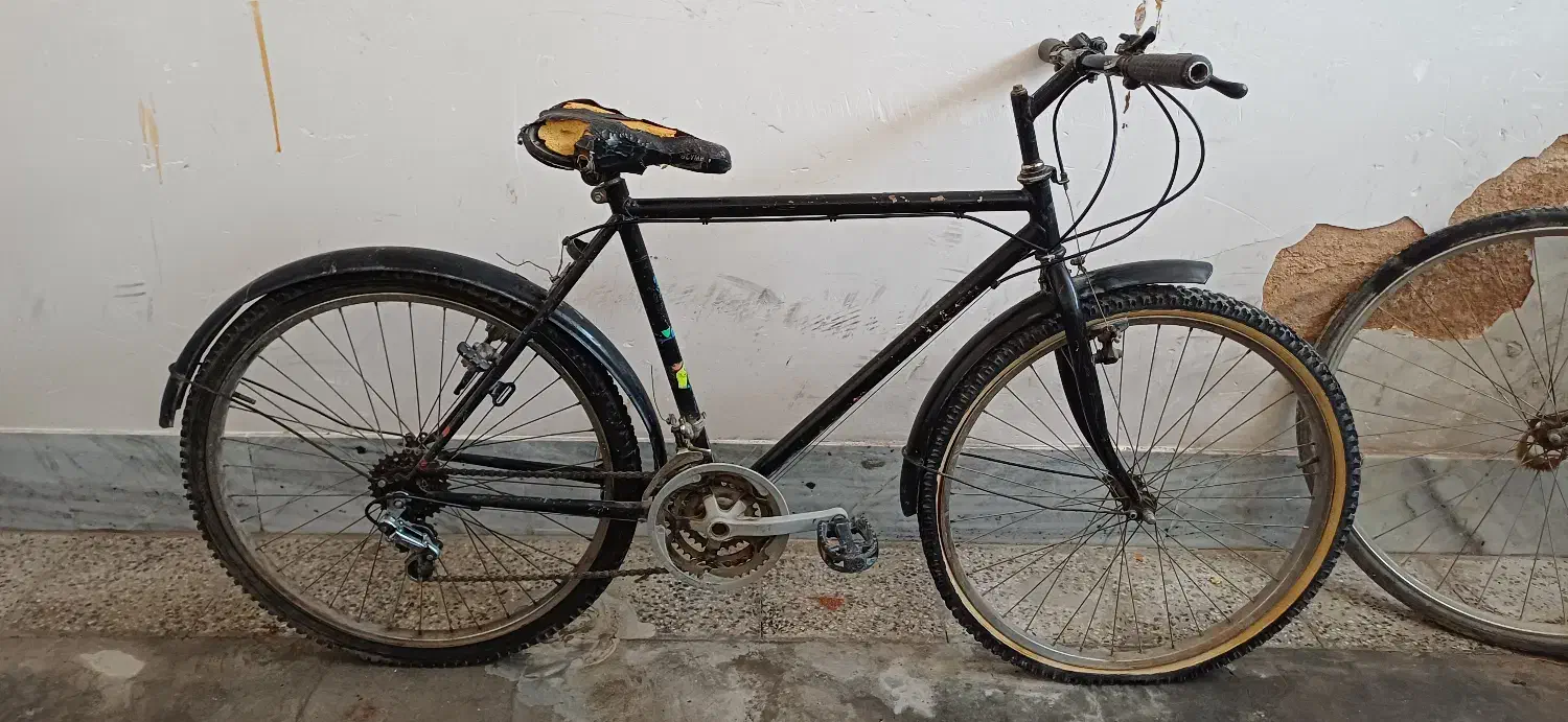 دوچرخه|دوچرخه، اسکیت، اسکوتر|پیر بکران, |دیوار