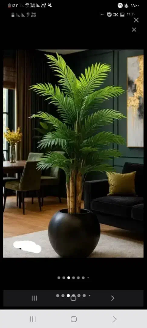 درخ جه|گل مصنوعی|تهران, مشیریه|دیوار