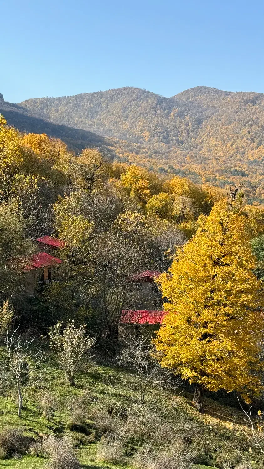 سرایدار شبانه روزی|استخدام سرایداری و نظافت|رامیان, |دیوار