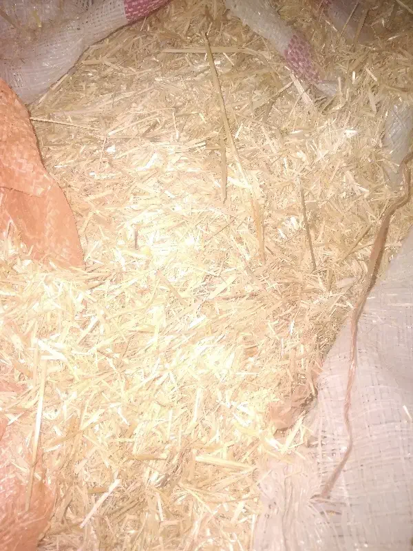 کاه دستچین خرمن کوب|لوازم جانبی حیوانات|ایذه, |دیوار