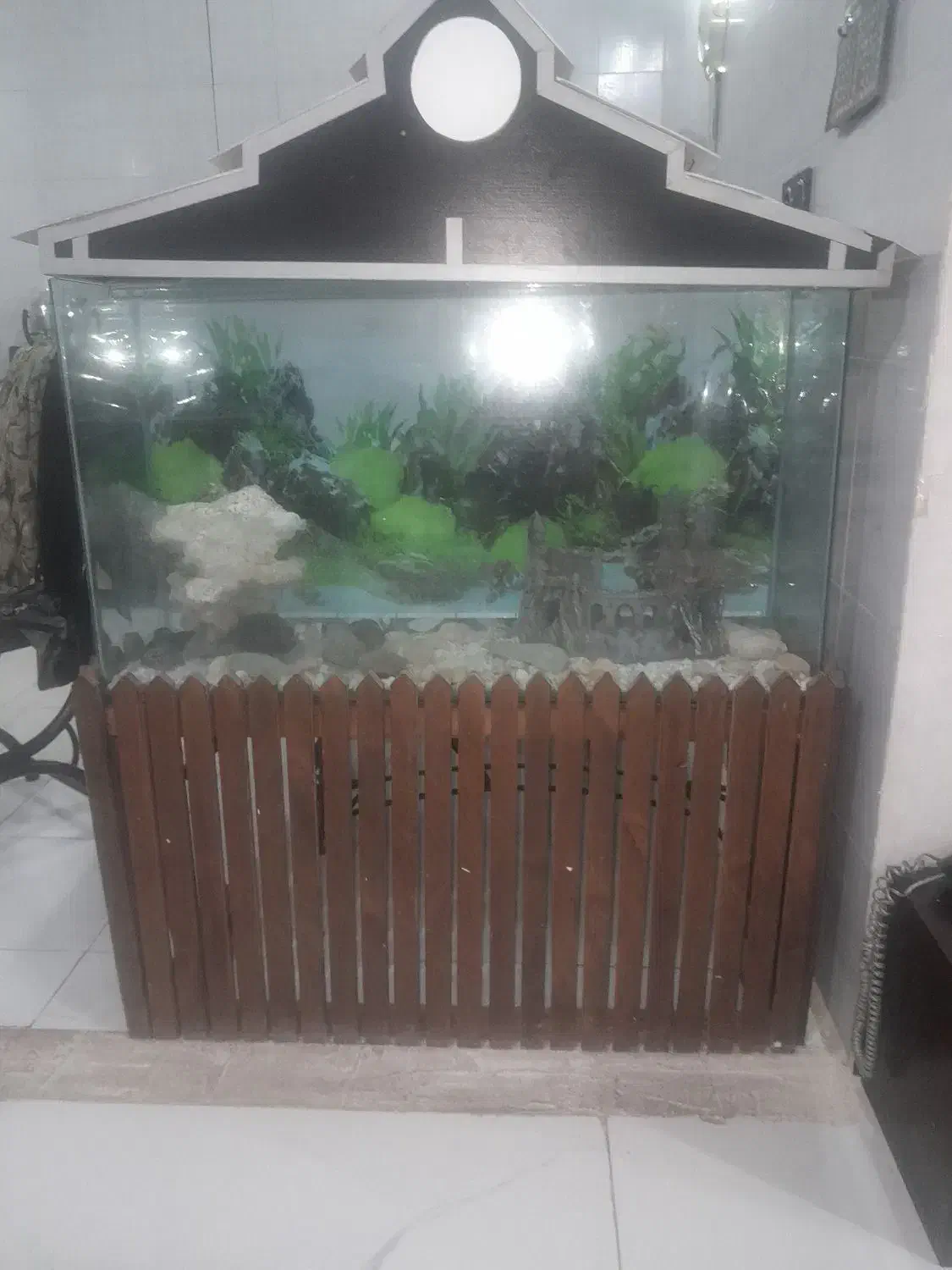 آکواریوم شیشه خم|ماهی|اصفهان, شهرک کاوه|دیوار