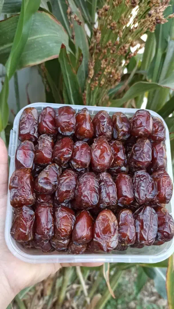 خرما کبکاب و زاهدی ارسال از خشت و تهران|خوردنی و آشامیدنی|تهران, شهرک چیتگر|دیوار