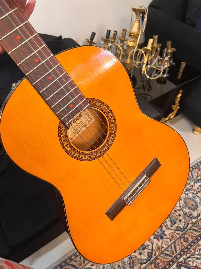 گیتار پرینس|گیتار، بیس، امپلیفایر|تهران, شهرک بوعلی|دیوار