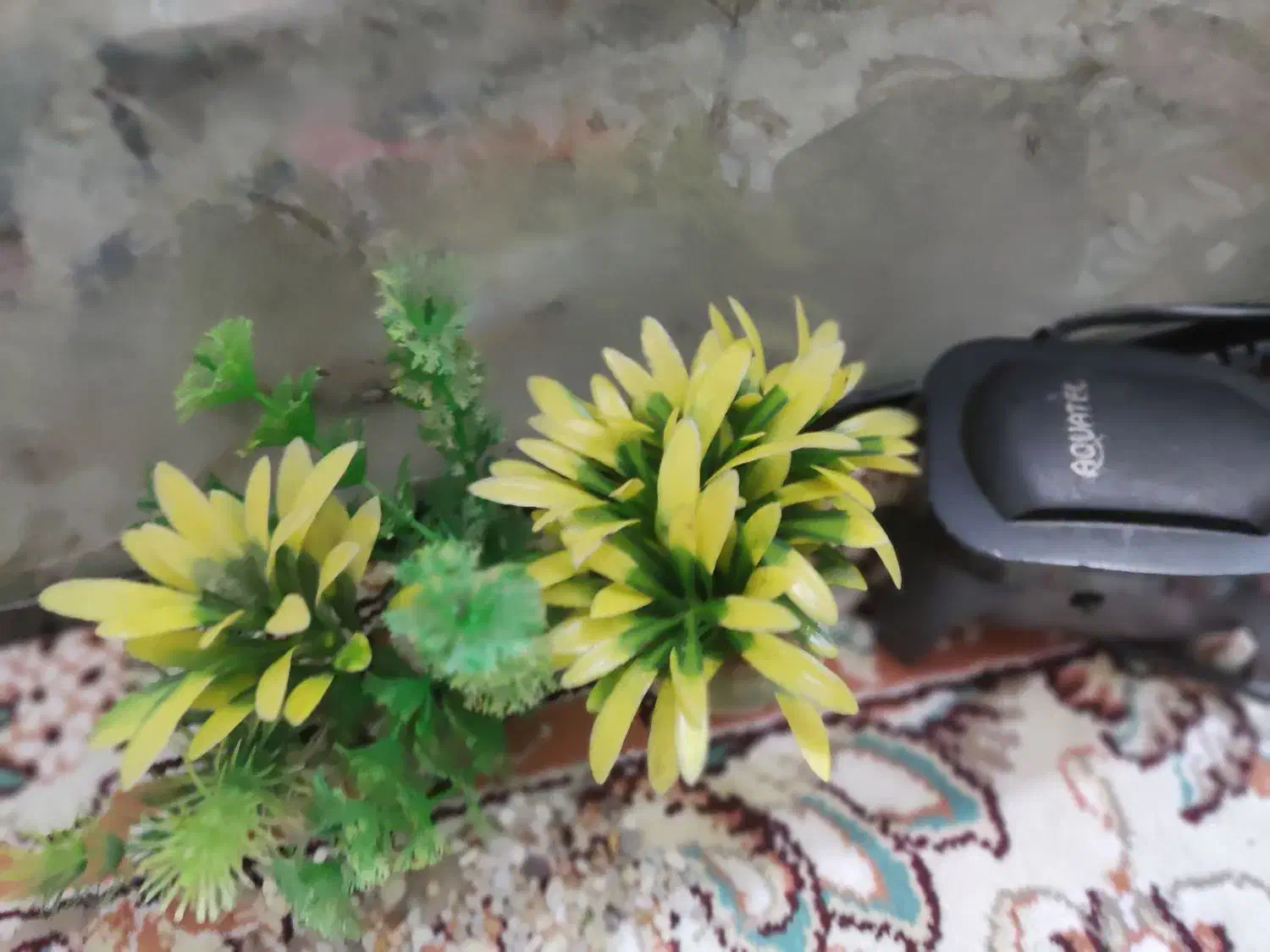 تلویزیون سامسونگ و اکواریوم|تلویزیون و پروژکتور|مشهد, سراب|دیوار