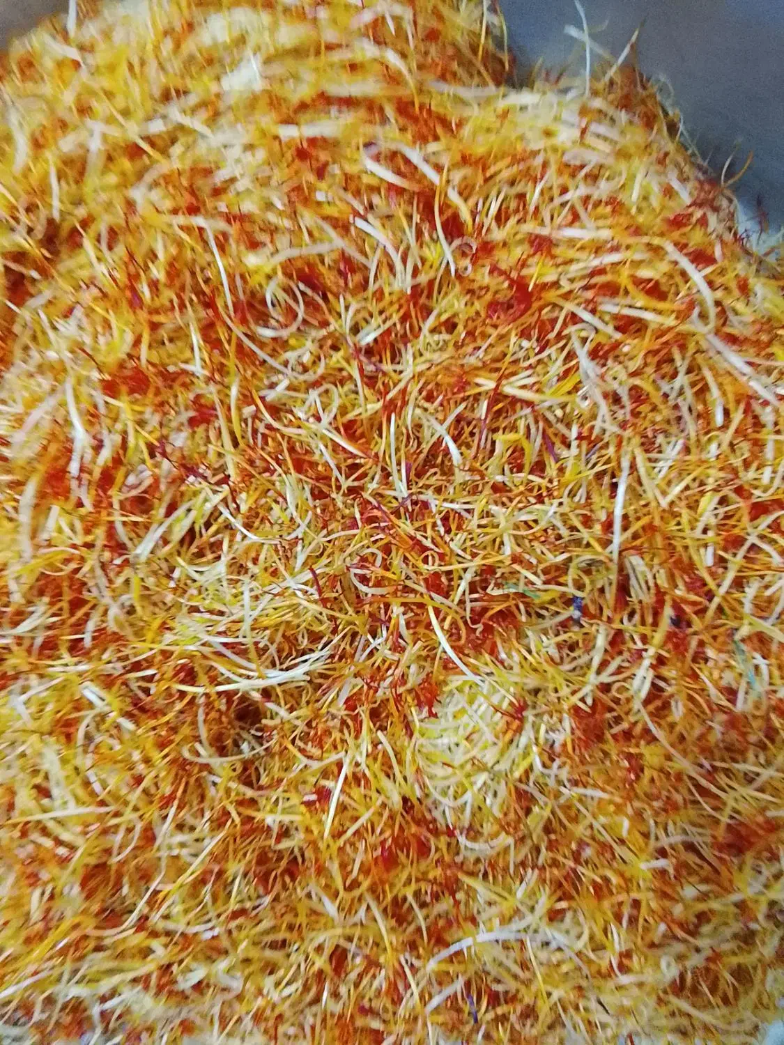 خامه زعفران|عمدهفروشی|کوزران, |دیوار