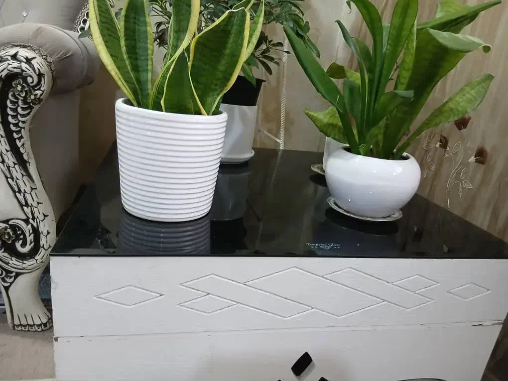 میز جلو مبلی|مبلمان خانگی و میز عسلی|بندر امام خمینی, |دیوار