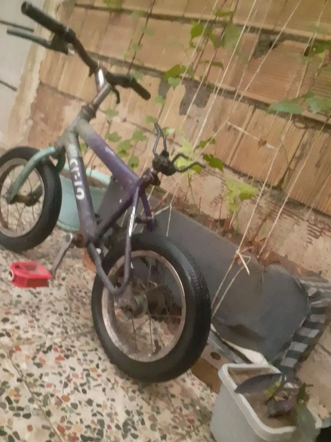 دوچرخه 12|دوچرخه، اسکیت، اسکوتر|اندیمشک, |دیوار