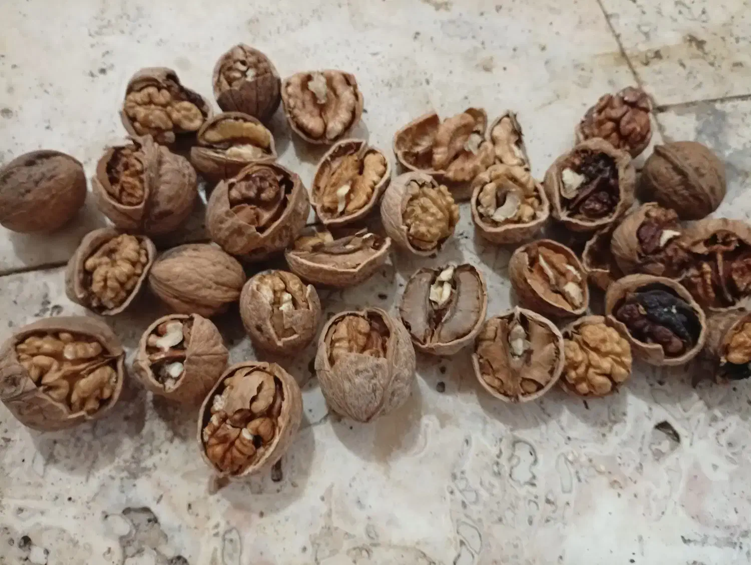 گردوی فروشی|عمده‌فروشی|آذرشهر, |دیوار