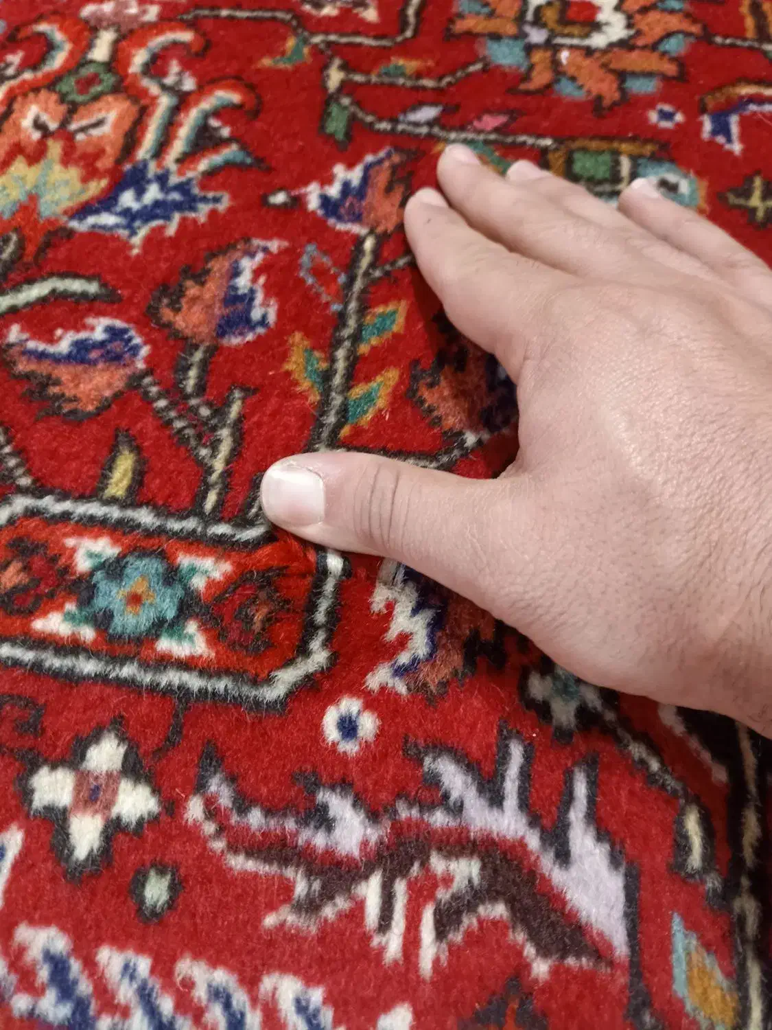 جفت شیش متری قباآذرشهر بافت اصل عجب شیر|فرش|تهران, شهرک غرب|دیوار