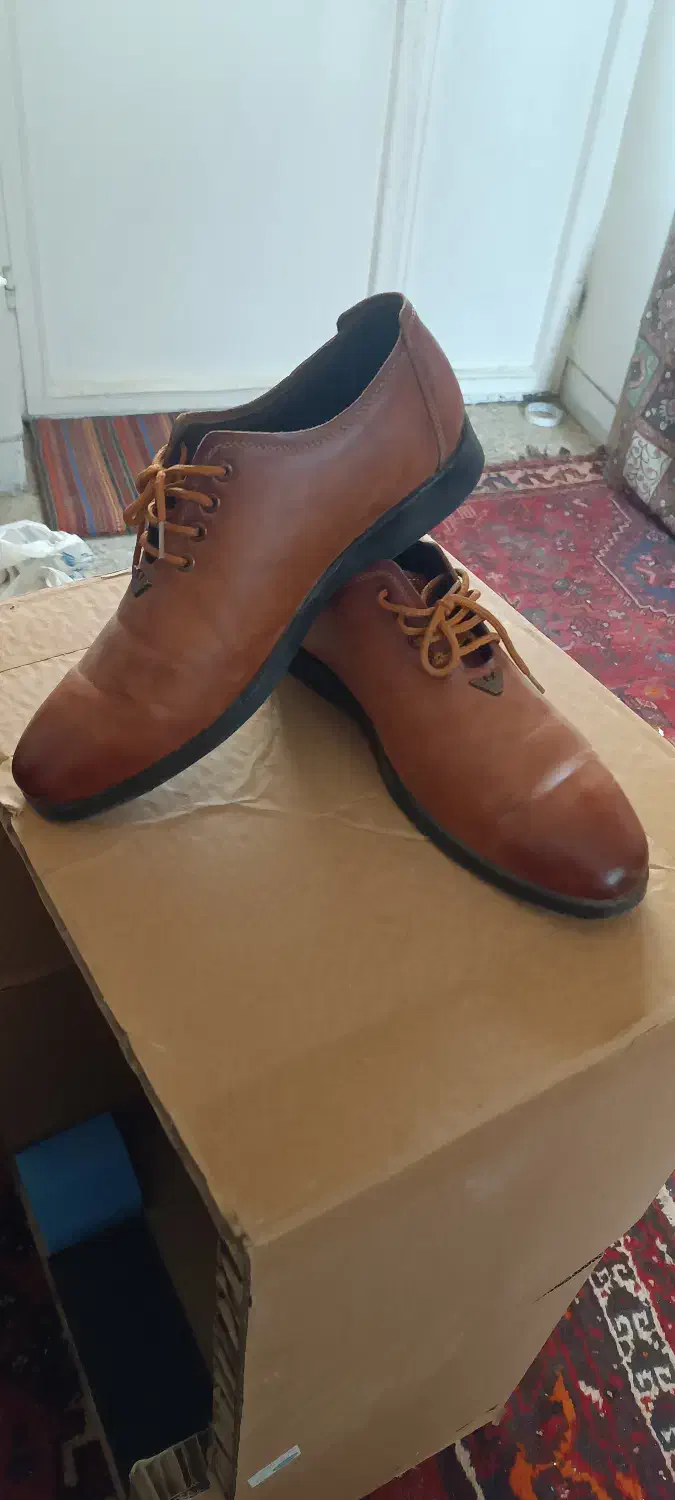 کفش مردانه چرمی|کیف، کفش، کمربند|قم, چهل درخت|دیوار