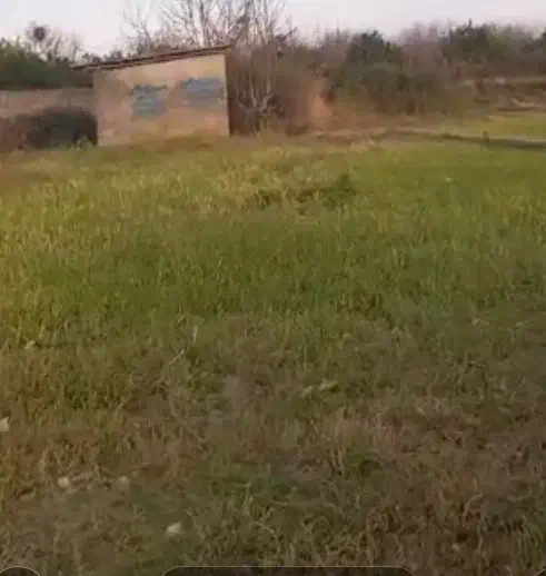 زمین آمل خشکرود|فروش زمین و ملک کلنگی|امامزاده عبدالله, |دیوار