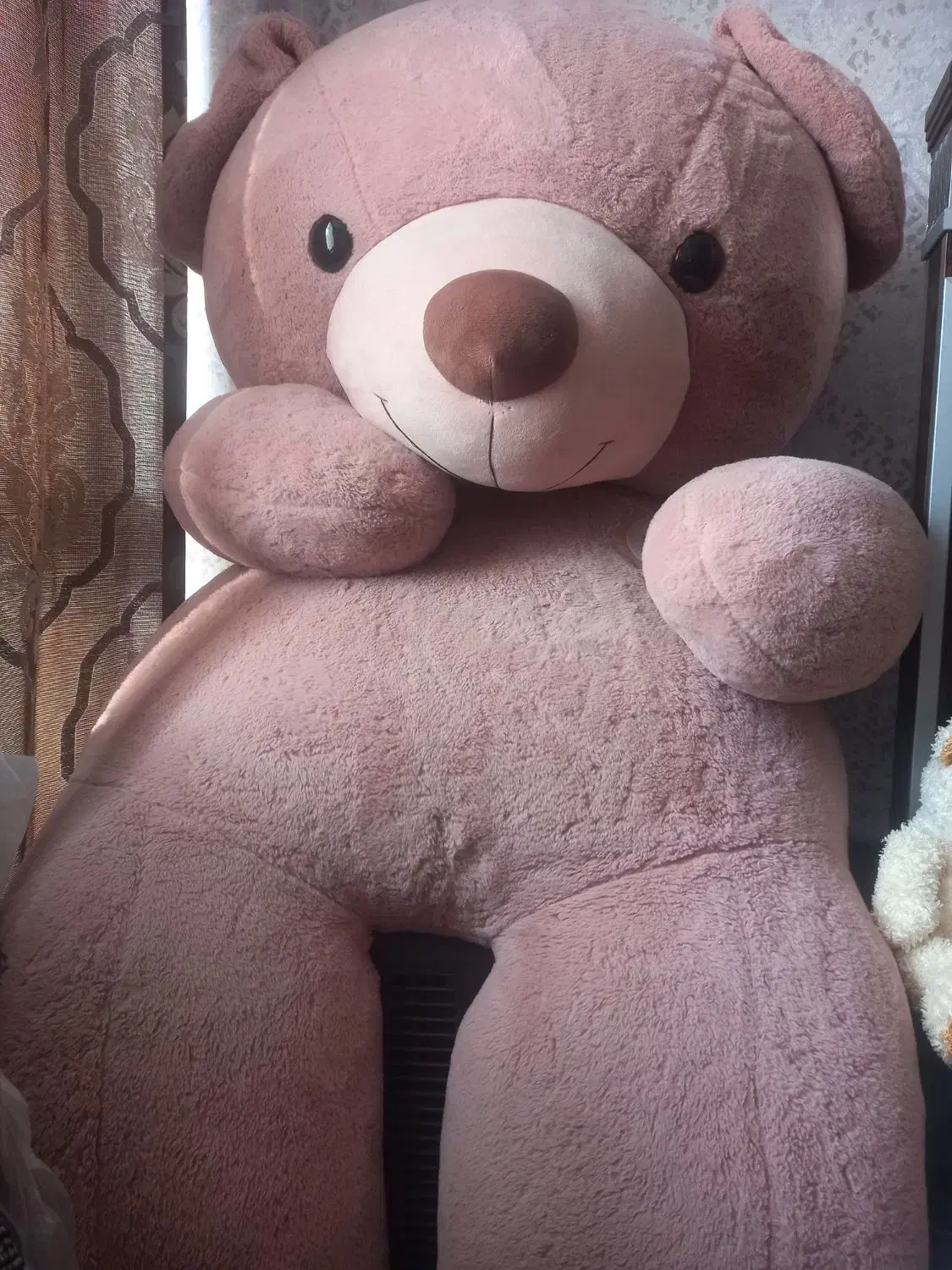 عروسک۲ متری|اسباب‌‌بازی|ری, شهادت|دیوار