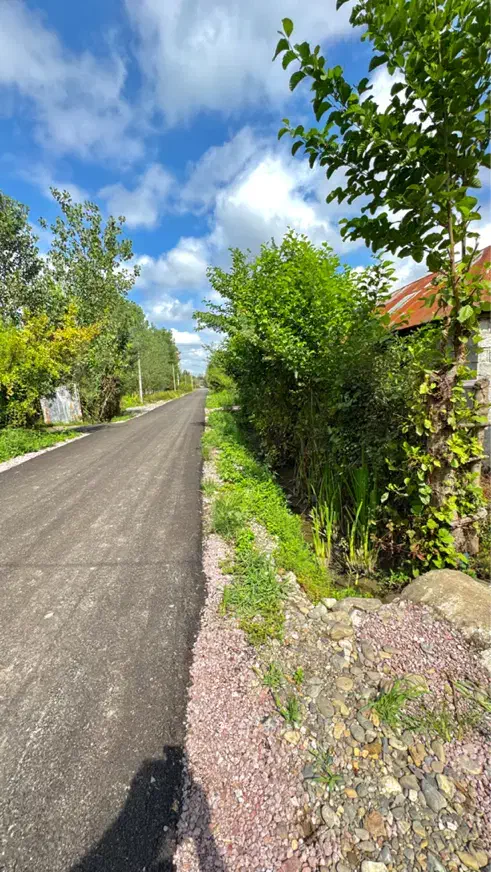 ۲۵۰متر زمین مسکونی با سند تکبرگ بر اسفالت تاپ|فروش زمین و ملک کلنگی|سیاهکل, |دیوار