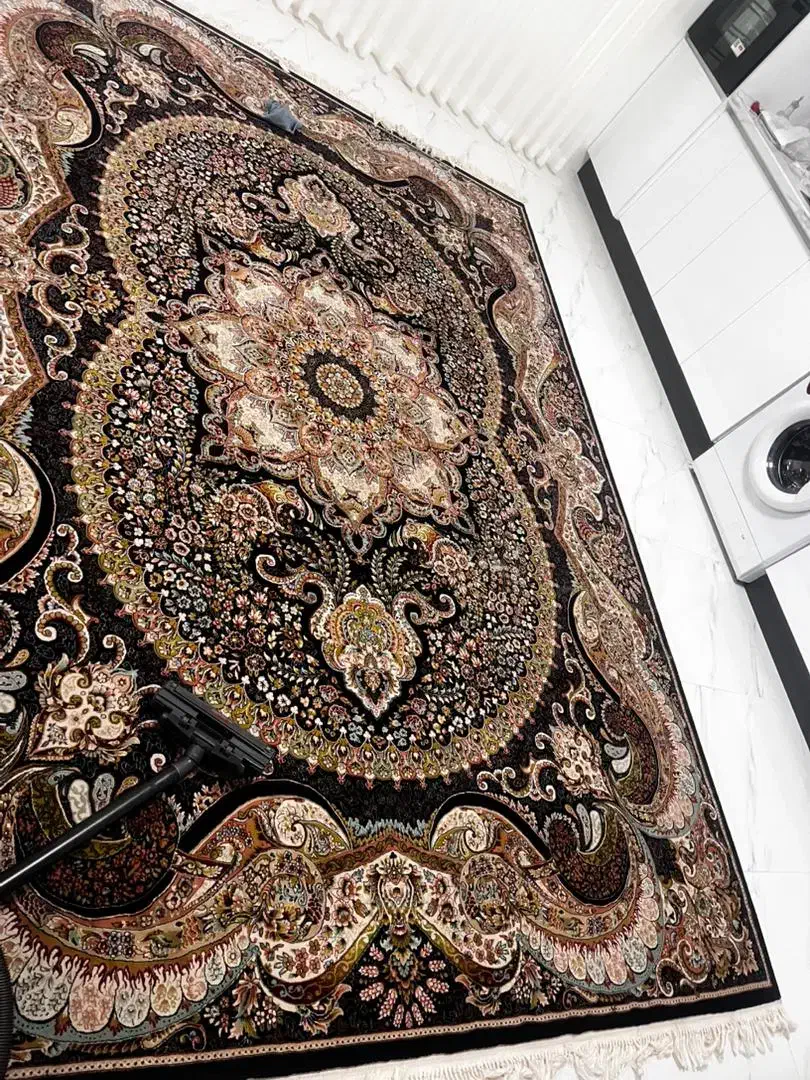 فرش در حد نو استثنایی|فرش|بندرعباس, |دیوار