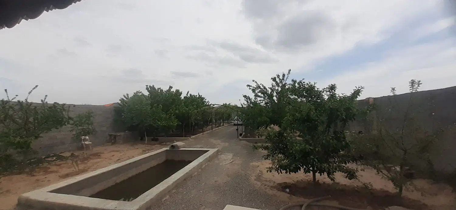 تصویر 10
