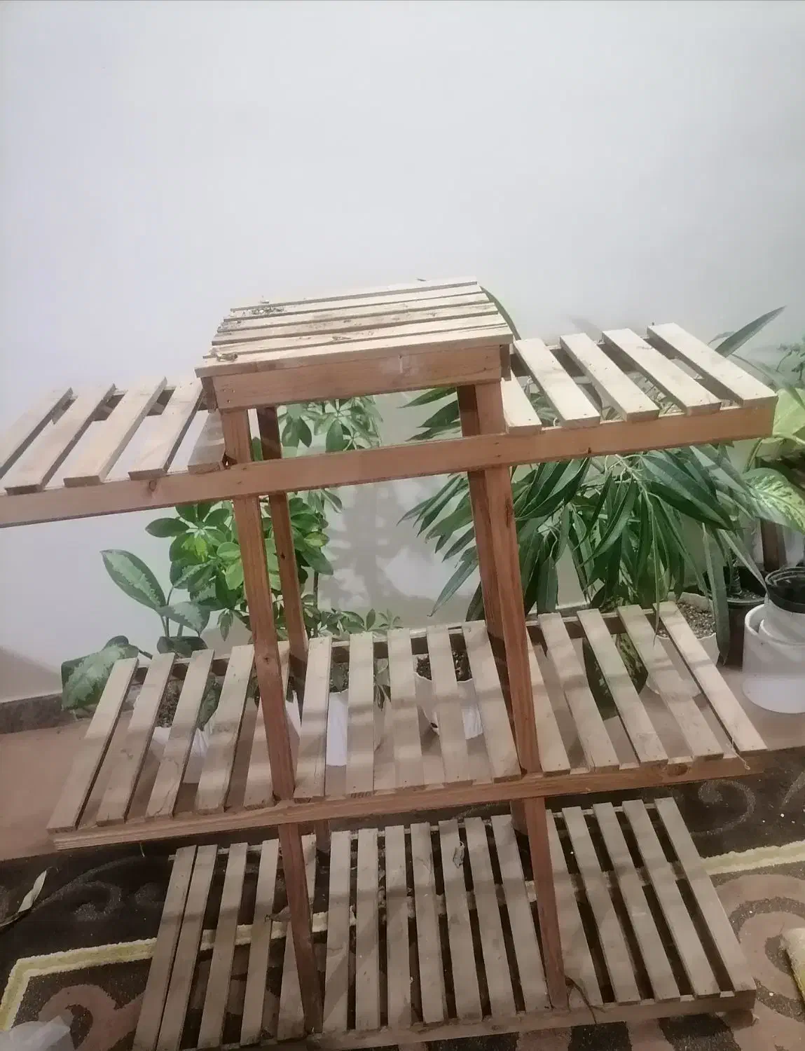 استند گل|گل و گیاه طبیعی|گرگان, |دیوار