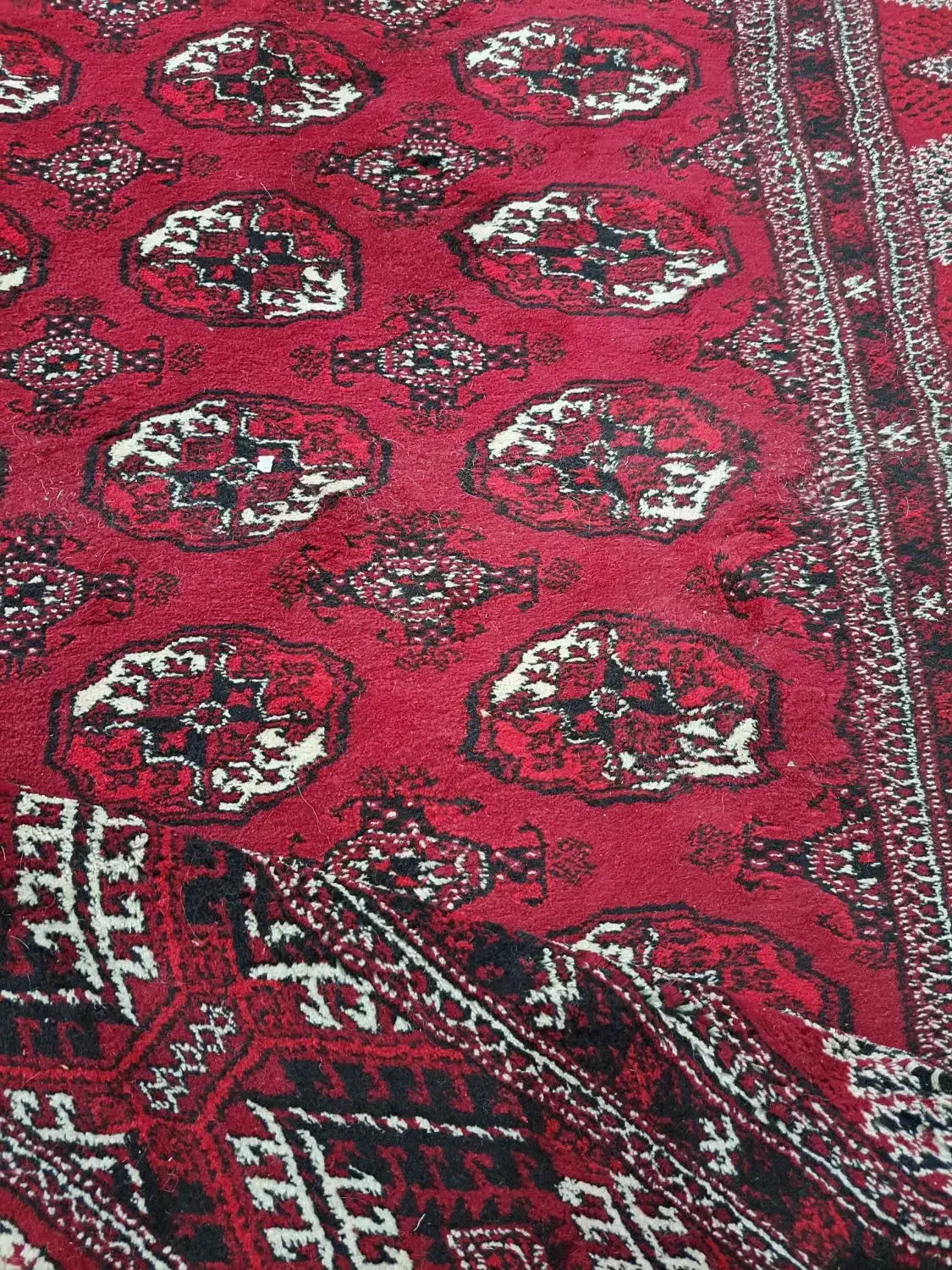 قالی ترکمنی|فرش|بندر ترکمن, |دیوار