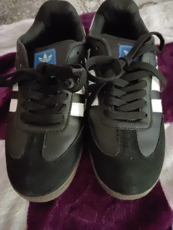 کتانی پیاده روی|کیف، کفش، کمربند|رشت, گلسار|دیوار