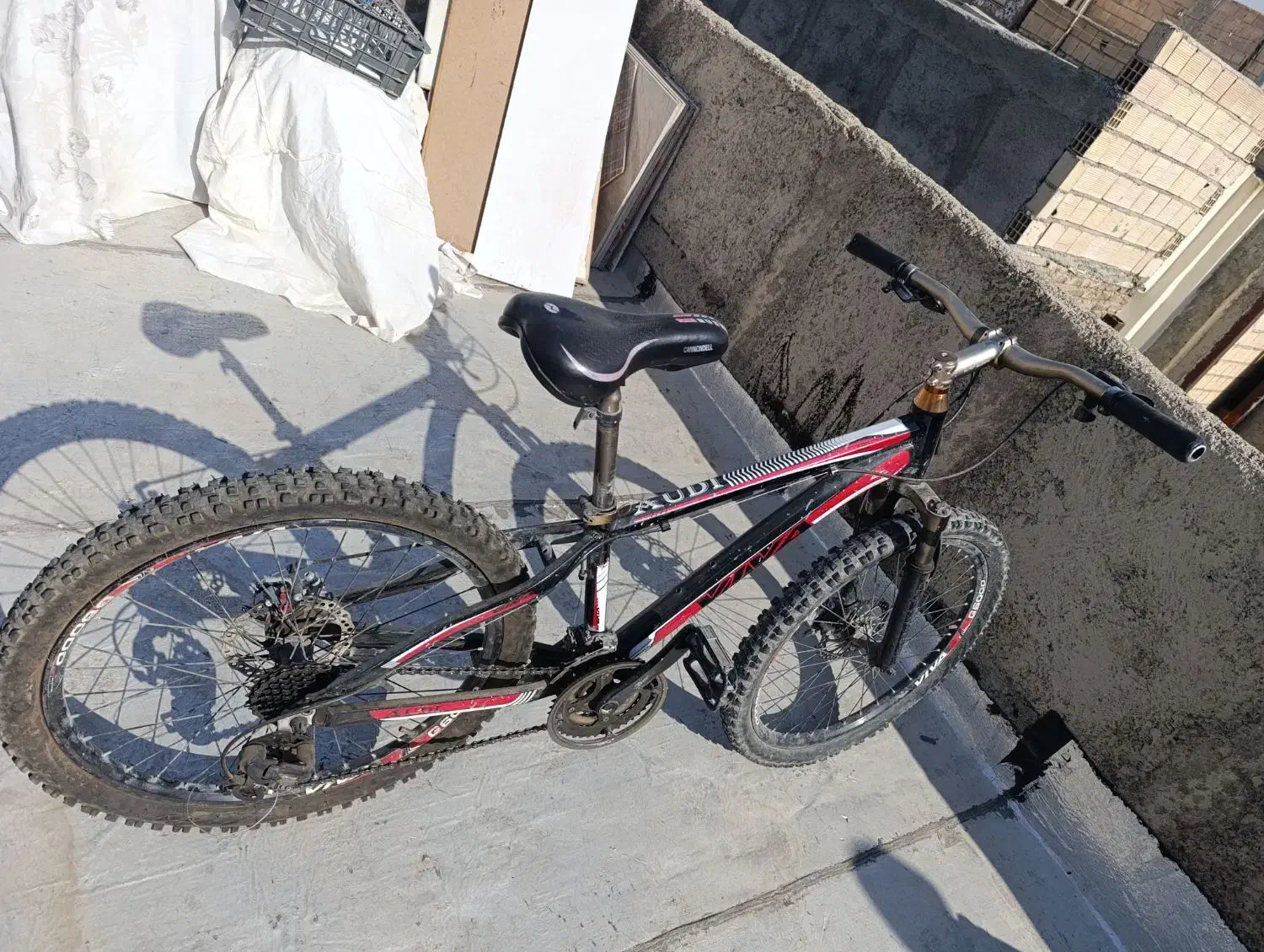 دوچرخه ۲۴ ویوا|دوچرخه، اسکیت، اسکوتر|چهارباغ, |دیوار