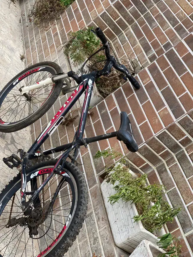 دوچرخهGALANT حرفه ای جاده و کوهستان|دوچرخه، اسکیت، اسکوتر|لنگرود, |دیوار