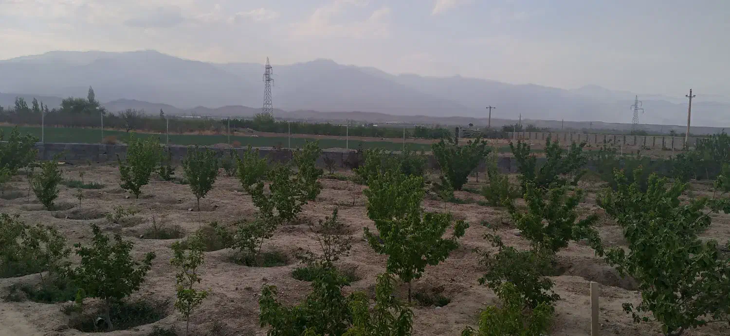 فروش فوری باغ|فروش دفتر صنعتی، کشاورزی، تجاری|بسطام, |دیوار