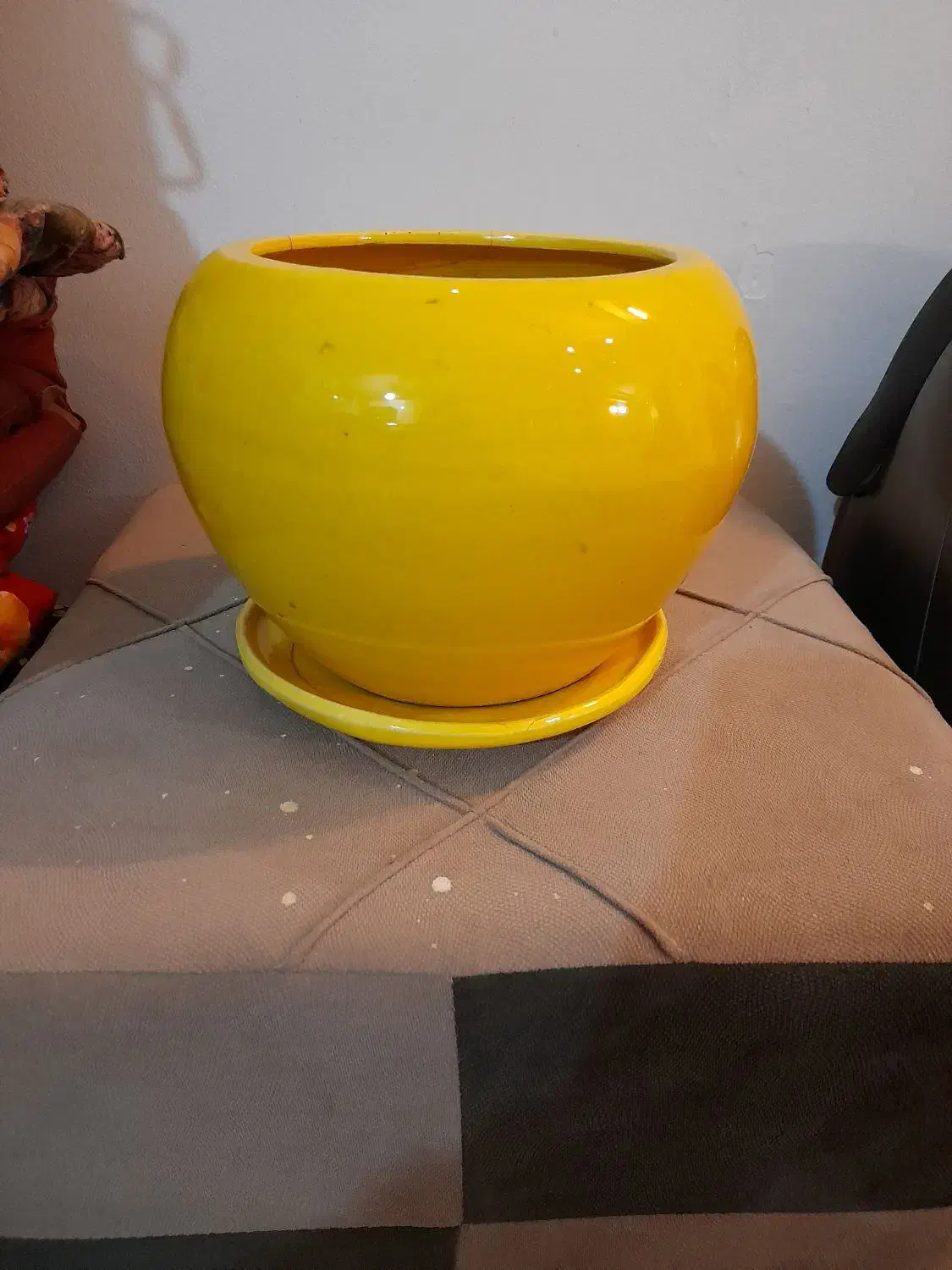 گیاه پتوس وگلدان سفالی|گل و گیاه طبیعی|تهران, عباسی|دیوار