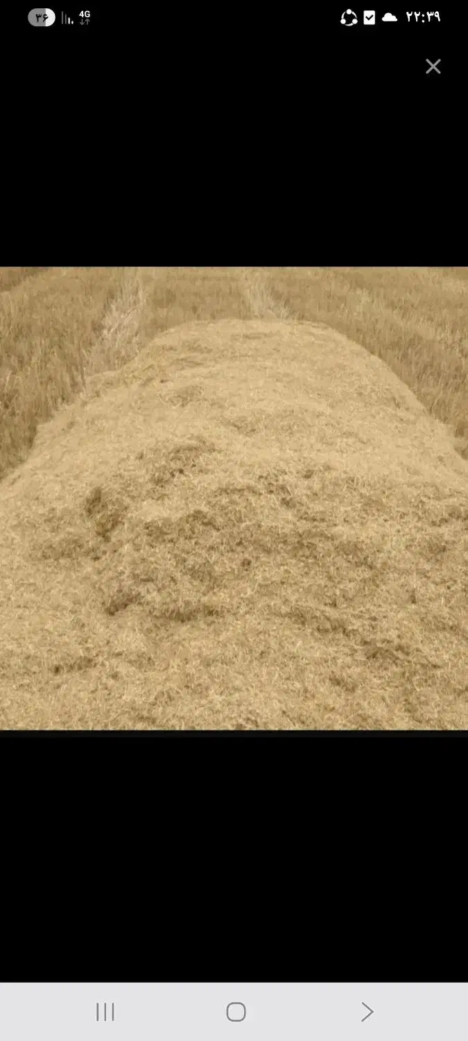 کاه|لوازم جانبی حیوانات|خمینی‌شهر, |دیوار