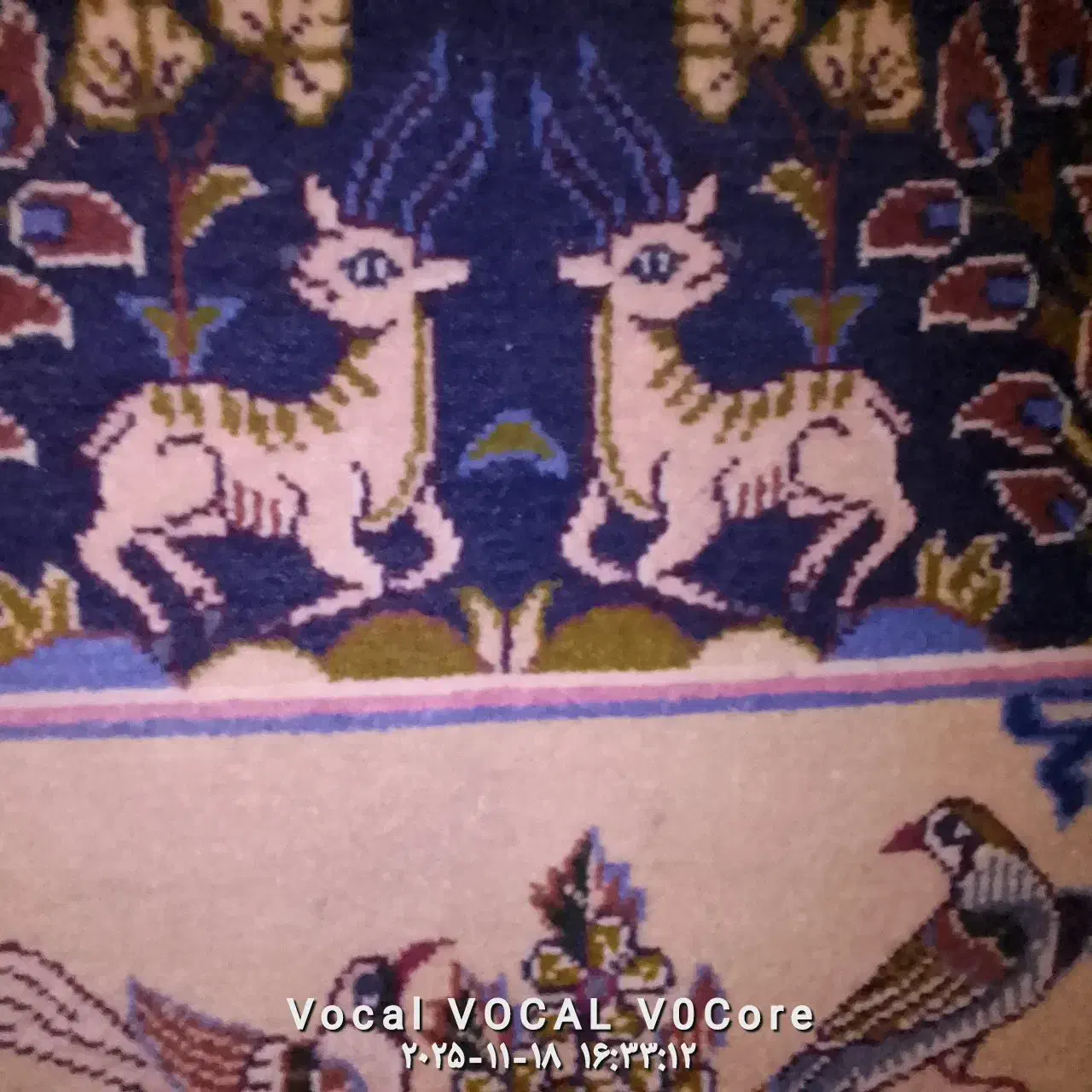 تابلو فرش دستباف|تابلو فرش|تربت‌حیدریه, بالا ولایت|دیوار