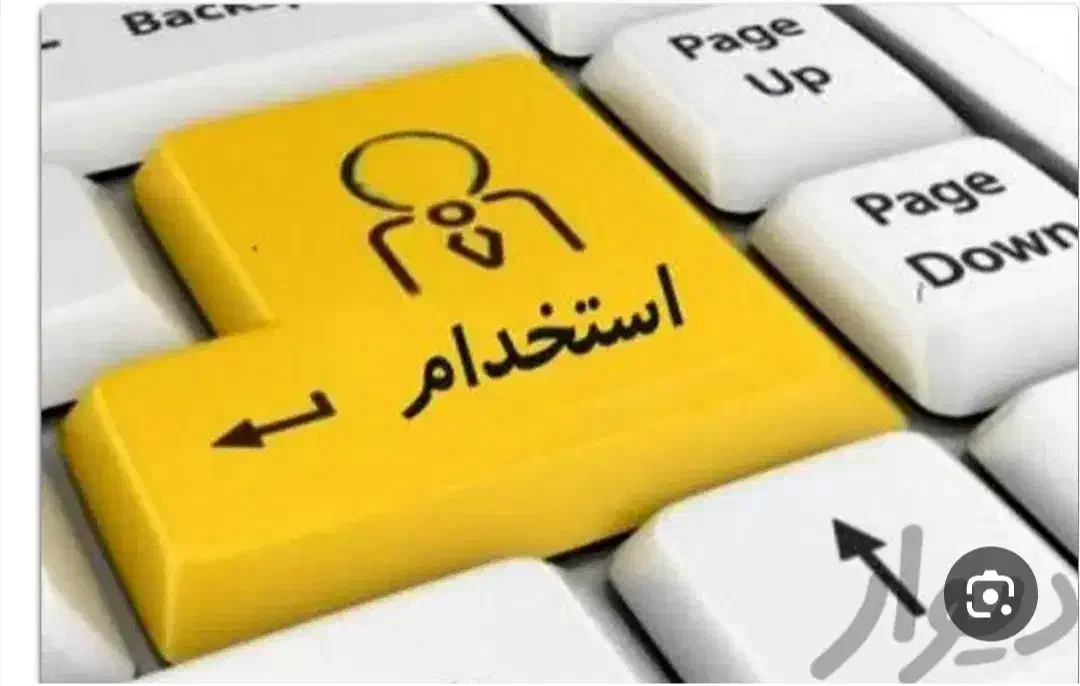 استخدام منشی برای حسابداری فرش فروشی|استخدام بازاریابی و فروش|شیراز, ریشمک|دیوار