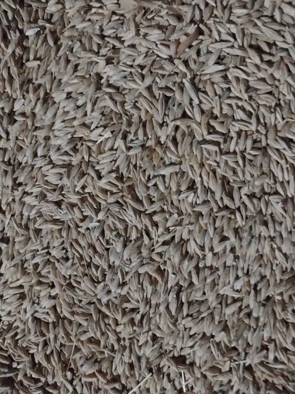 فروش یونجه چین ۲ وجو|عمدهفروشی|حلب, |دیوار