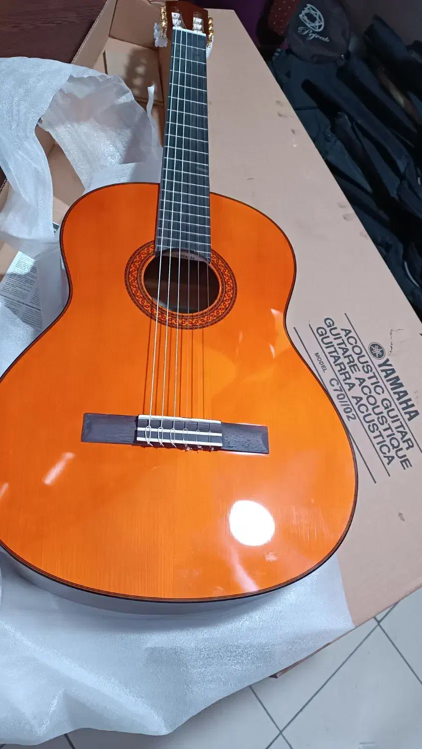 گیتار|گیتار، بیس، امپلیفایر|ساوه, |دیوار