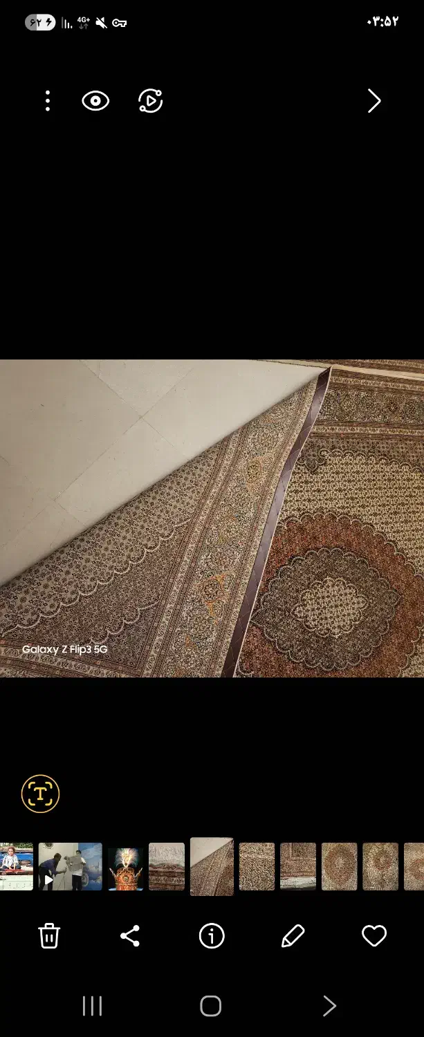 فرش جفت شش متری ماهی گل ابریشم|فرش|عسگران, |دیوار