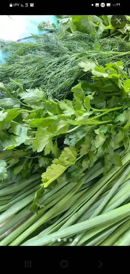 سبزی خورشی و آشی|خوردنی و آشامیدنی|مسجد سلیمان, |دیوار