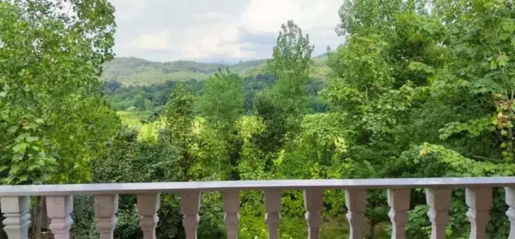 فروش ویلا بامحوطه ۲۵۰۰مترمربع. مدارک نسق|فروش خانه و ویلا|احمدسرگوراب, |دیوار