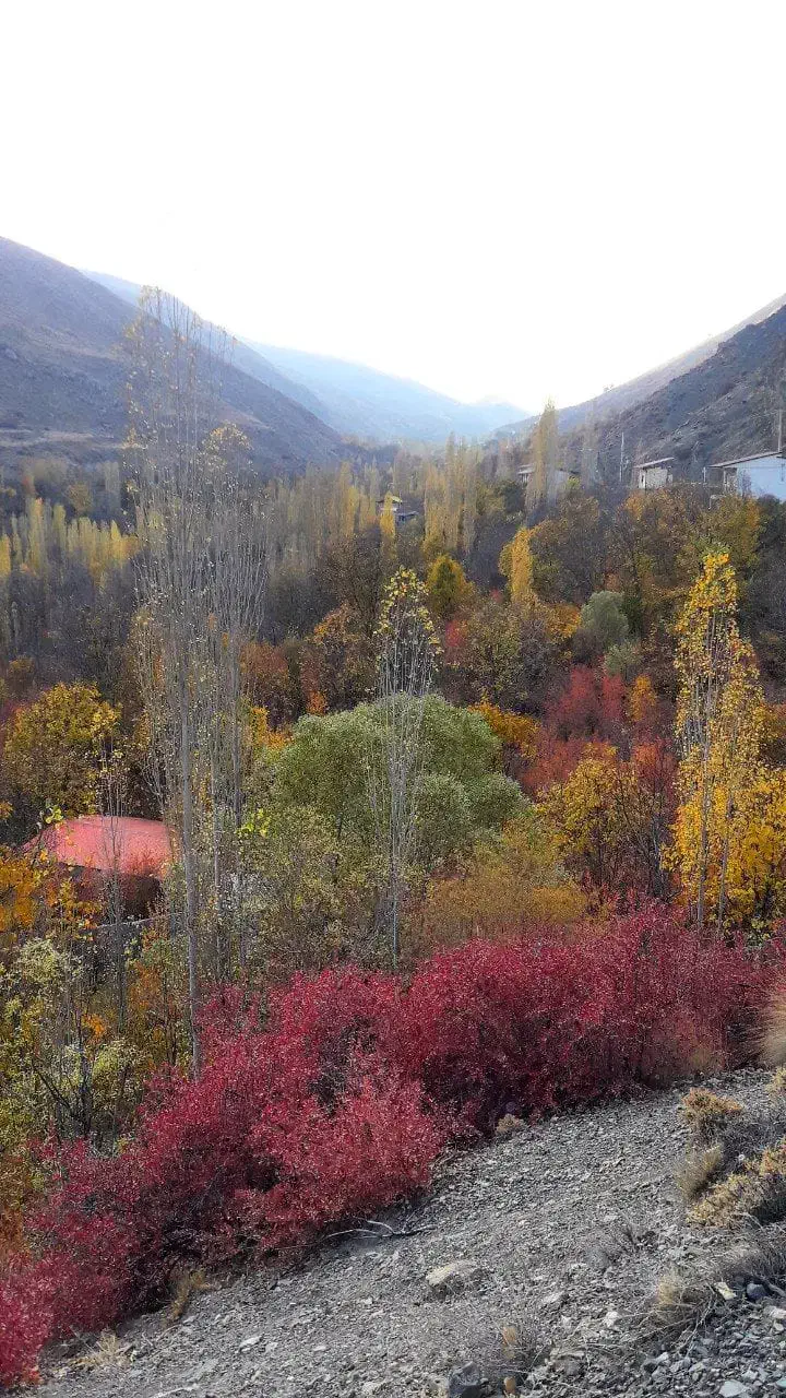 کاهو زمین حاشیه ۱۲متری چهارم|فروش زمین و ملک کلنگی|گلمکان, |دیوار