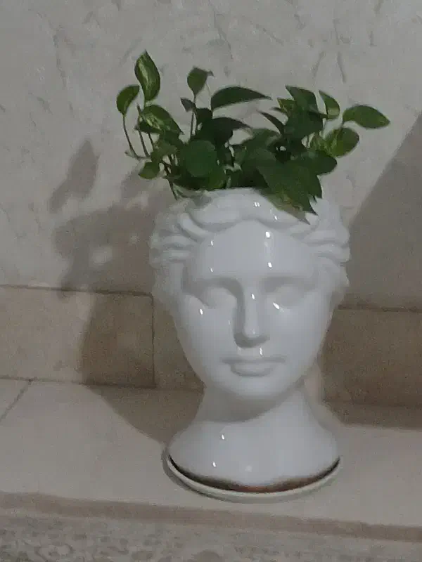 گلدان سرامیکی|گل مصنوعی|شیروان (خراسان), |دیوار