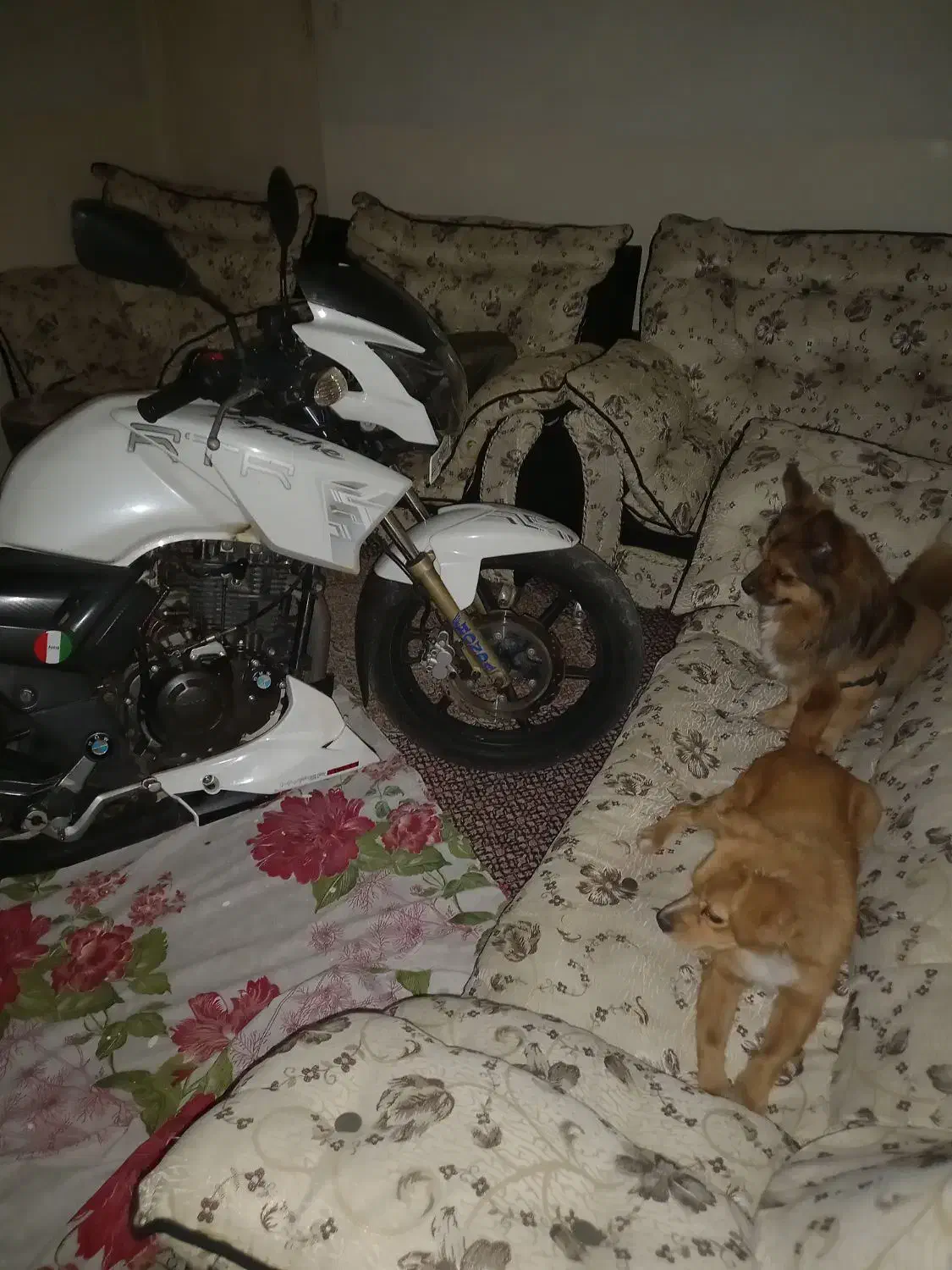 موتورآپاچی مدل ۹۲ بشرط .سالم .ازنظرموتورسالم|موتورسیکلت|خرمدره, |دیوار