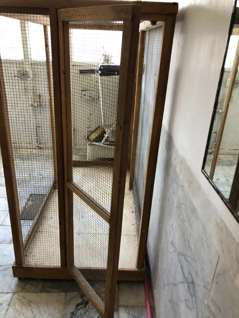 قفس بزرگ|لوازم جانبی حیوانات|تربت جام, جامی|دیوار