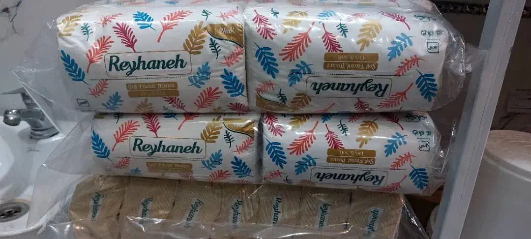 پک اقتصادی دستمال کاغذی|مواد شوینده و دستمال کاغذی|دوگنبدان, |دیوار