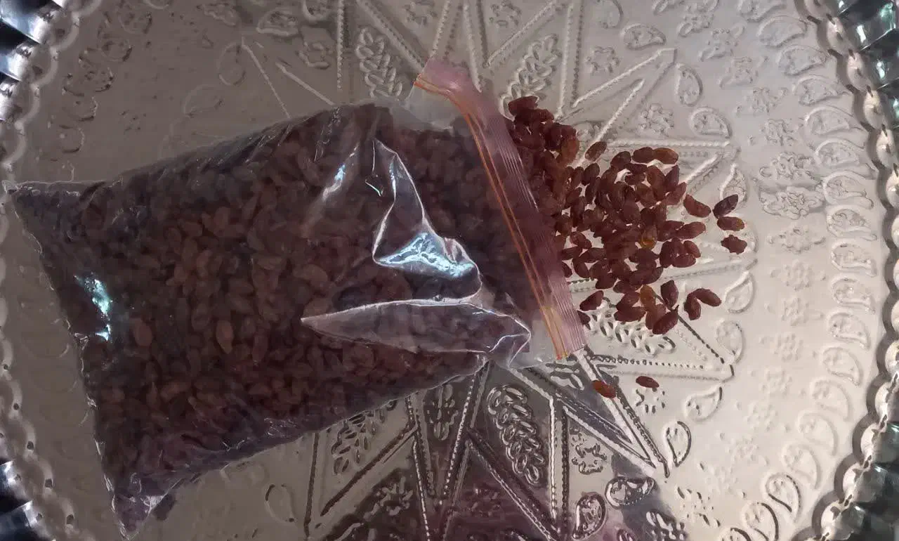 کشمش،سبز و آفتابی|خوردنی و آشامیدنی|کاشمر, |دیوار