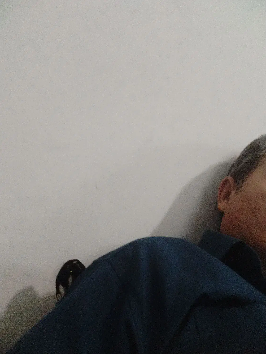 مبل شویی|خدمات نظافت|محمدشهر, ولدآباد|دیوار