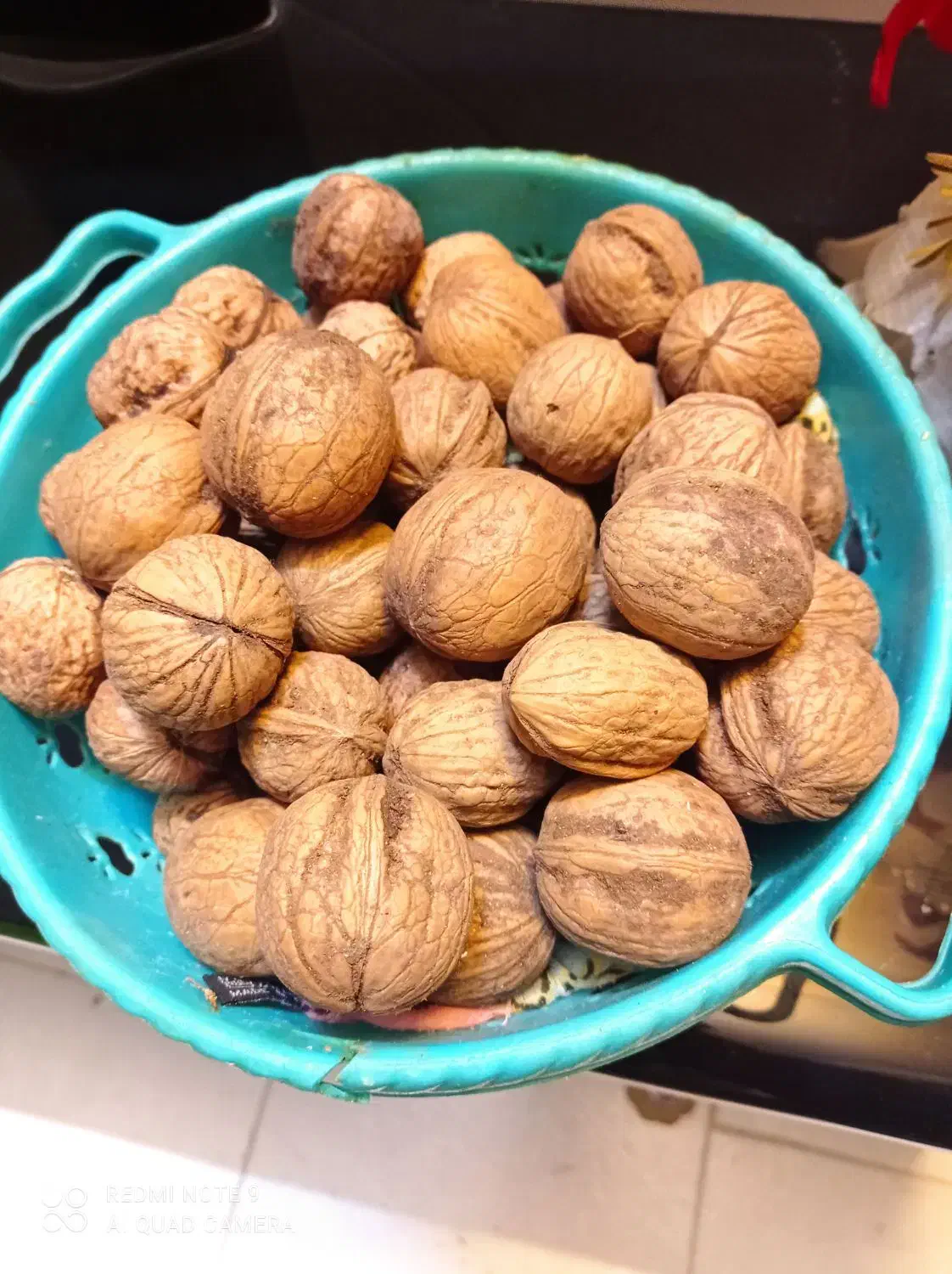 مغز گردو و گردو|خوردنی و آشامیدنی|محمدیه-قزوین, |دیوار