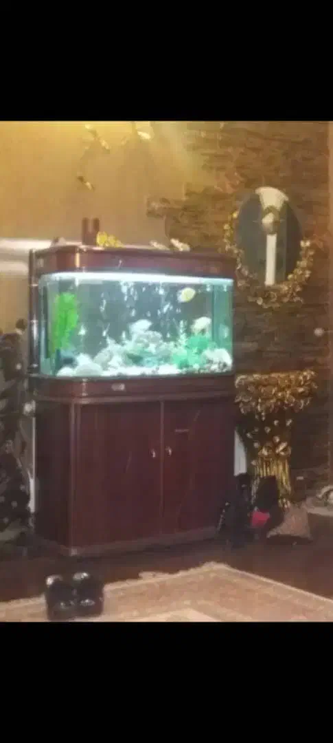 اکواریوم کمد دار لوکس|ماهی|مشهد, جاهد شهر|دیوار